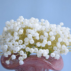 Arranjo De Mosquitinho Branco No Vaso Italy Rosa | Formosinha